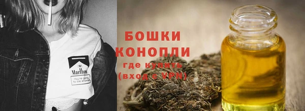 молекула духа Осташков