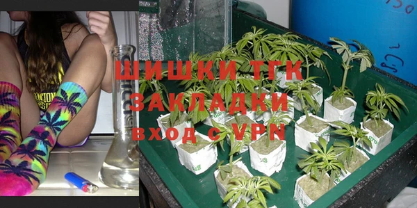 mdpv Няндома