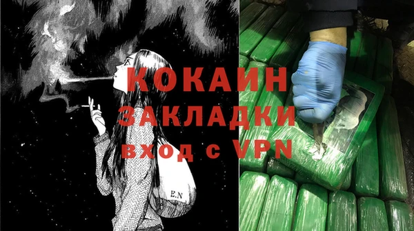 молекула духа Осташков