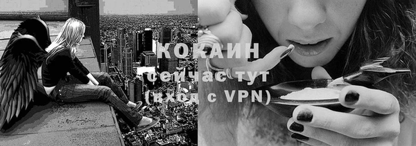 стафф Струнино