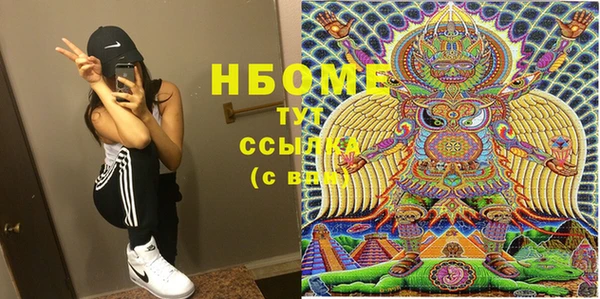 прущие грибы Осинники