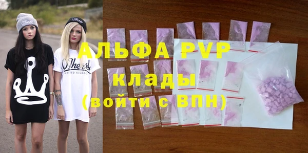 стафф Струнино
