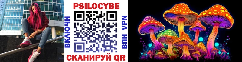 omg ССЫЛКА  где купить наркотик  Губаха  Галлюциногенные грибы Magic Shrooms 