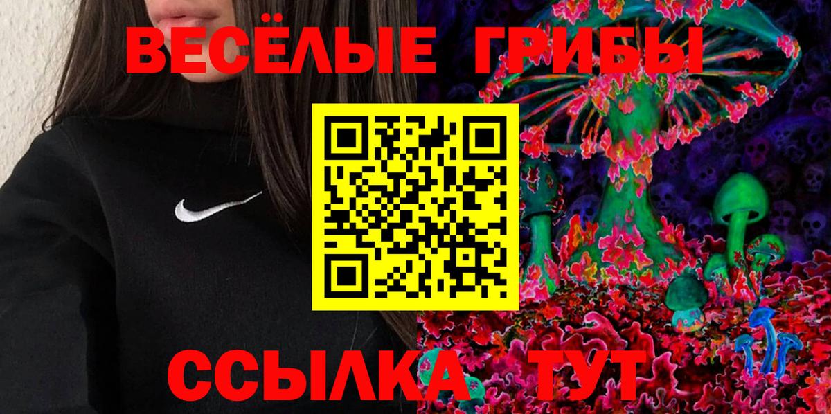 Псилоцибиновые грибы MAGIC MUSHROOMS  Вход с VPN  Губаха 