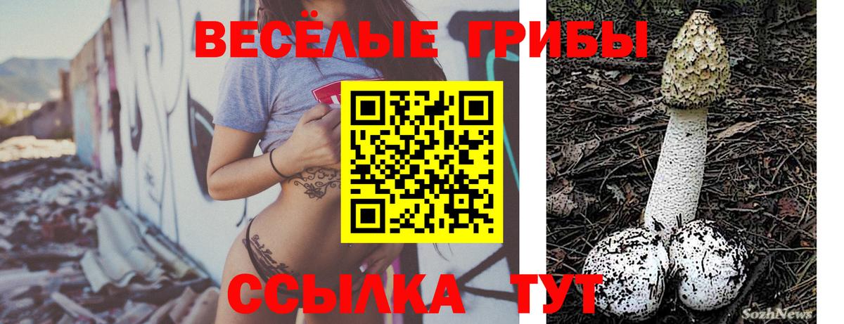 Галлюциногенные грибы мухоморы  Губаха 