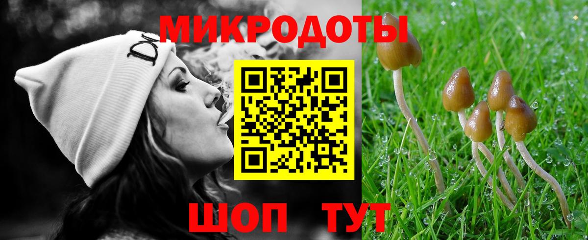 Галлюциногенные грибы Psilocybe Губаха