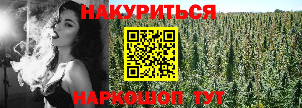 Марихуана OG Kush  Канабис MAZAR  Губаха  Вход с VPN  МАРИХУАНА White Widow 