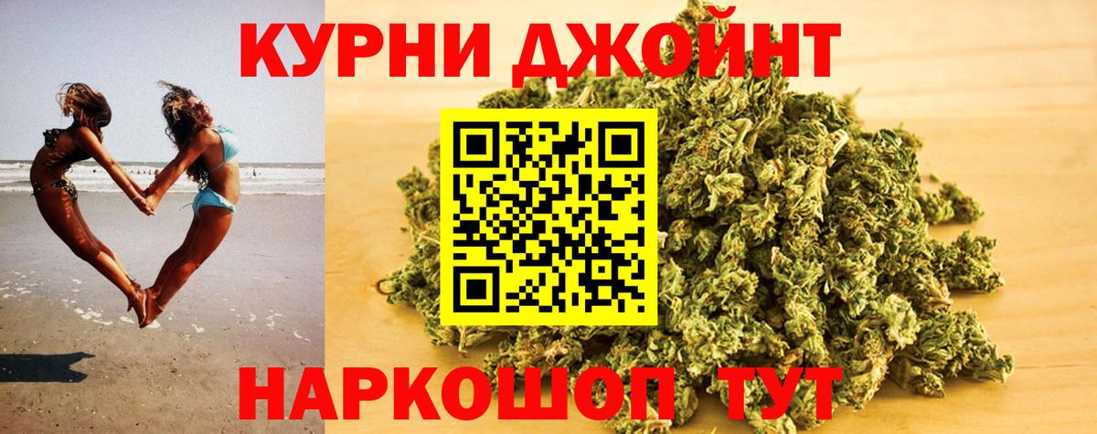Бошки марихуана Ganja  Конопля MAZAR  Губаха  Марихуана план 
